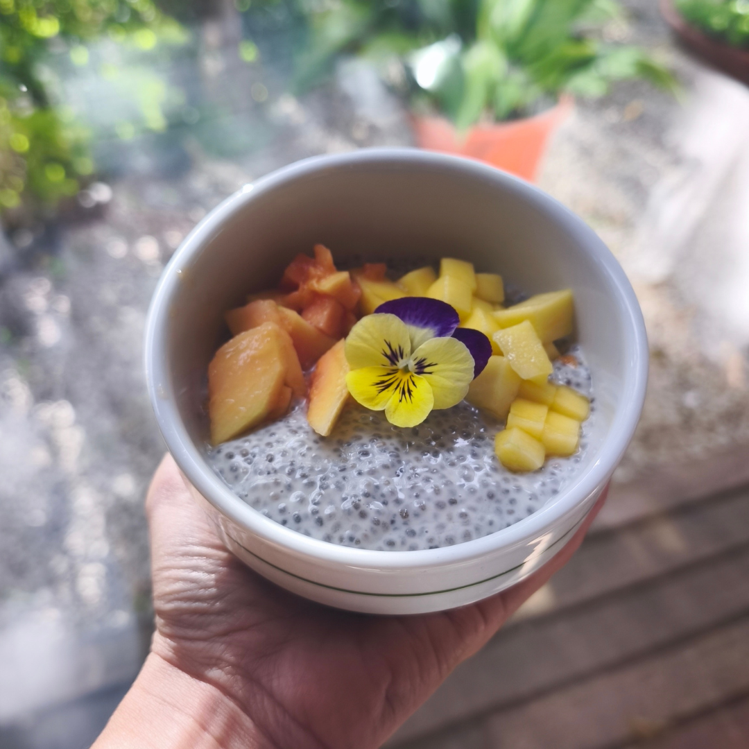Catering saudável para eventos em Portugal — pratos vegetarianos e vegan